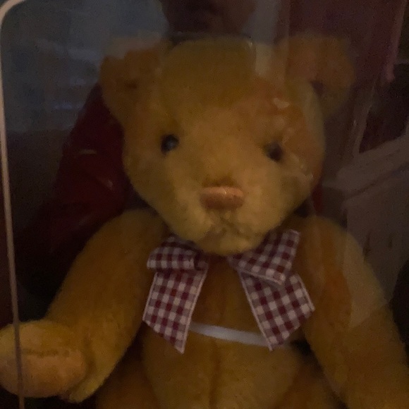Gund 1996 Collector’s Bear new - Picture 2 of 9
